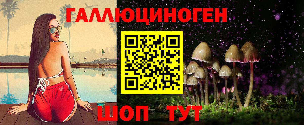 Псилоцибиновые грибы Cubensis Пятигорск