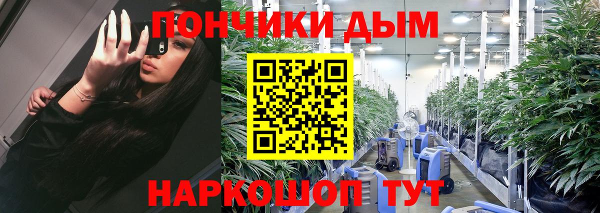 Шишки марихуана индика  Канабис LSD WEED  Конопля AK-47  Вход с VPN  Пятигорск 